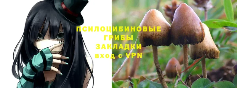 Галлюциногенные грибы Psilocybe  mega рабочий сайт  Жуковский 